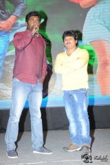 Rough Movie Audio Launch